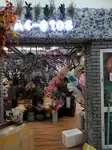 Info about 9108 WONWAY Dry Flowers wholesale supplier: showroom shop, products, MOQ, catalog, price list, contact phone number, wechat, email etc. 