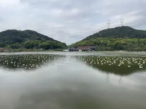 pearl-farms-zhuji-China