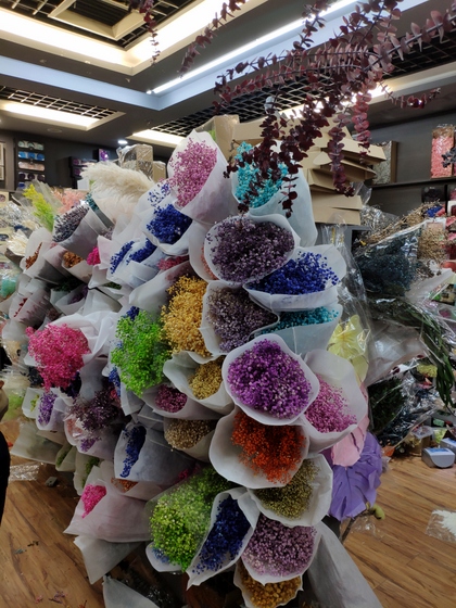 9108 WONWAY Dry Flowers Showroom 002