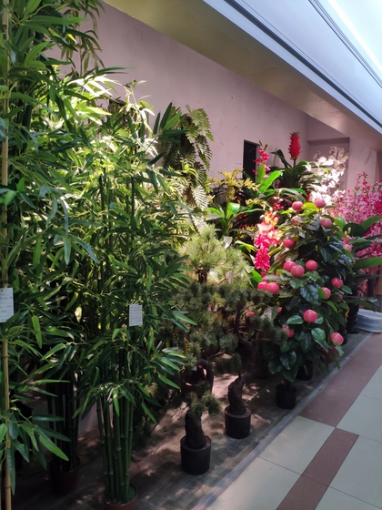 9177 Chenghui Fake Plants Showroom 001