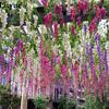 wisteria for shop and married lawns Pakistan Sadaqat 1