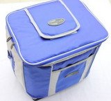 Cooler Bag