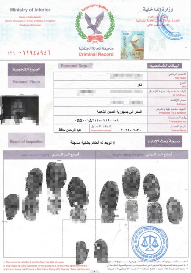 Notarized and Authenticated Certificate of No Criminal Record Sample