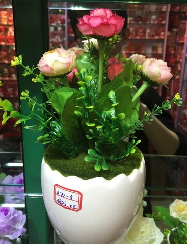 Cheap-Potted-Flowers-Wholesale-Yiwu-China-001