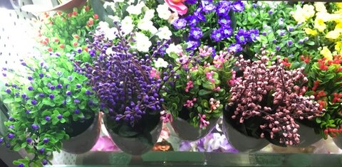 Cheap-Potted-Flowers-Wholesale-Yiwu-China-005.jpg