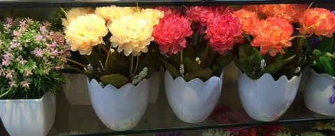 Cheap-Potted-Flowers-Wholesale-Yiwu-China-009.jpg