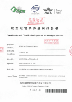 MSDS for Electric Balance Board