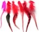 feather hair extensions China