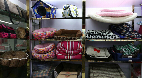 pets products wholesale Yiwu China
