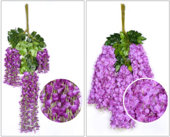 Wisteria flower petal difference between classical long version and new lush version.